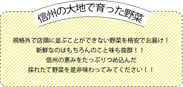 規格外で店頭に並ぶことができない、野菜を格安でお届け！<br>新鮮なのはもちろんのこと、味も抜群！！信州の恵みをたっぷりつめ込んだ、とれたて野菜を是非、味わってみてください！！